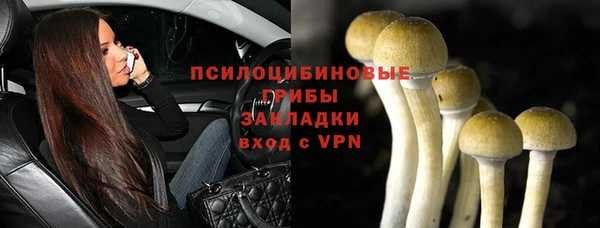 apvp Липки