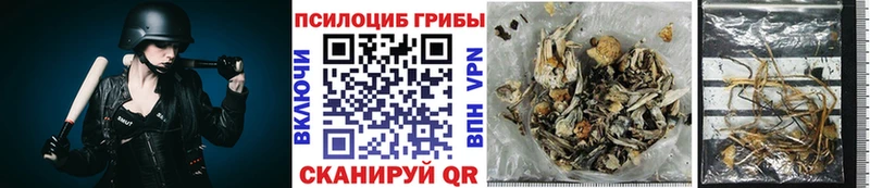 это какой сайт  Нерчинск  Псилоцибиновые грибы ЛСД 